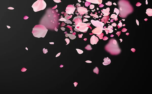 Símbolo Cultura Japonesa Flying Frágiles Pétalos Sakura Rosa Blanco — Archivo Imágenes Vectoriales