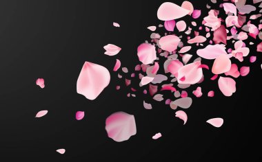 Japon kültürünün sembolü. Kırılgan pembe ve beyaz sakura yaprakları uçuyor..