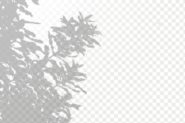 Effect Overlaying Shadows Realistic Shadow Tropical Leaves Branches Transparent Checkered — Vector de stock