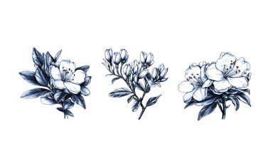 Basit ve grafiksel şekil, el çizimi düğün çiçeği ve davetiye kartı. Tarafsız siyah ve beyaz renkli zarif kır çiçekleri seti..