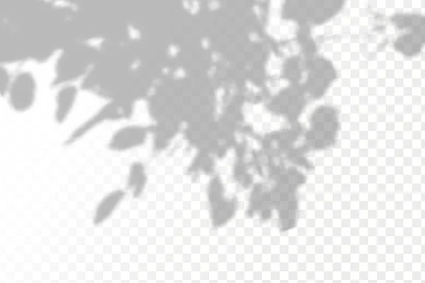 Ефект Накладання Тіней Натуральне Планування Світла Реалістична Тінь Тропічних Листя — стоковий вектор