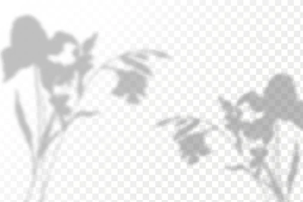 Эффект Наложения Теней Реалистичная Тень Тропических Листьев Ветвей Прозрачном Клетчатом — стоковый вектор