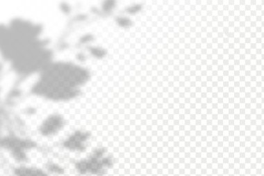 Gölgelerin etkisi. Doğal ışık düzeni. Şeffaf kareli arka planda gerçekçi tropik yapraklar ve dallar..