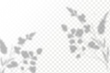 Gölgelerin etkisi. Doğal ışık düzeni. Şeffaf kareli arka planda gerçekçi tropik yapraklar ve dallar..