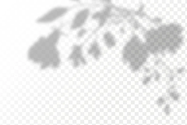 Эффект Наложения Теней Реалистичная Тень Тропических Листьев Ветвей Прозрачном Клетчатом — стоковый вектор