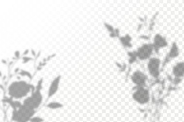 Gölgelerin etkisi. Doğal ışık düzeni. Şeffaf kareli arka planda gerçekçi tropik yapraklar ve dallar..