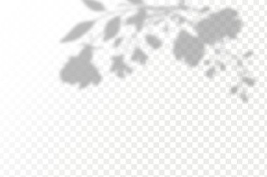 Gölgelerin etkisi. Doğal ışık düzeni. Şeffaf kareli arka planda gerçekçi tropik yapraklar ve dallar..