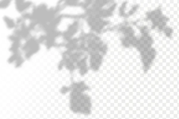 覆盖阴影的效果 现实的阴影热带树叶和分枝在透明而交错的背景上 — 图库矢量图片