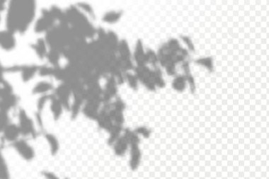 Üstünü karanlık kaplamıştır. Doğal ışık düzeni. Şeffaf kareli arka planda gerçekçi tropik yapraklar ve dallar..