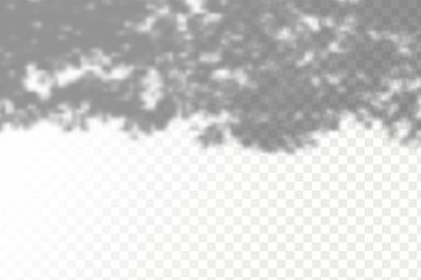 Gölgelerin etkisi. Doğal ışık düzeni. Şeffaf kareli arka planda gerçekçi tropik yapraklar ve dallar..