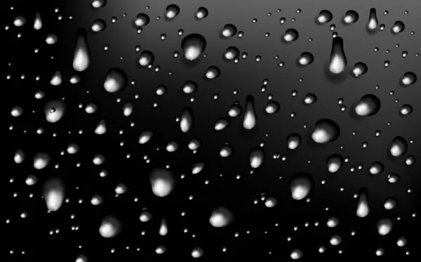 Textura Condensación Húmeda Realista Efecto Salpicadura Agua Dulce Superficie Gotas — Archivo Imágenes Vectoriales