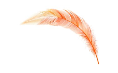 Vektör konsepti tasarımı, çizgi sanatı. Çeşitli şekillerdeki gerçekçi vektör kaz veya kuğu tüyleri. Yastıklar, battaniyeler veya ceketler için ekolojik tüy doldurucu.