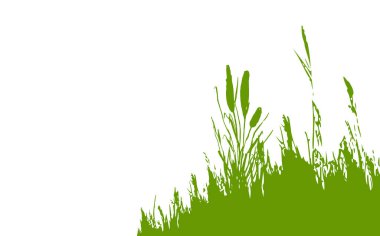 Siyah çimen grafik silueti. Tek renkli sazlık görüntüsü, beyaz arka planda çimen ya da acele. İzole vektör çizimi..