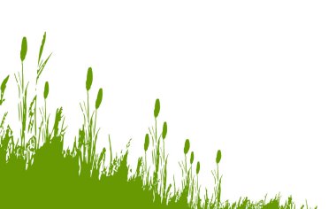 Siyah çimen grafik silueti. Tek renkli sazlık görüntüsü, beyaz arka planda çimen ya da acele. İzole vektör çizimi..