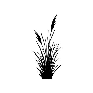 Siyah çimen grafik silueti. Tek renkli sazlık görüntüsü, beyaz arka planda çimen ya da acele. İzole vektör çizimi..