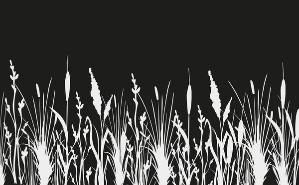 stock vector Black grass graphic silhouette.Image of a monochrome reed,grass or bulrush on a white background.Isolated vector drawing.