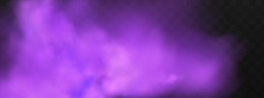 Şeffaf karanlık bir arka planda gerçekçi neon sisi buharı. Cadılar bayramında gizemli mor bir sis. Mor zehirli gaz, toz ve duman etkisi.