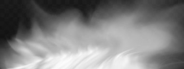 Bulutlu gökyüzü ya da şehrin üzerindeki sis. Vektör illüstrasyonu.Beyaz vektör bulanıklığı, sis ya da siyah kareli arkaplanda duman