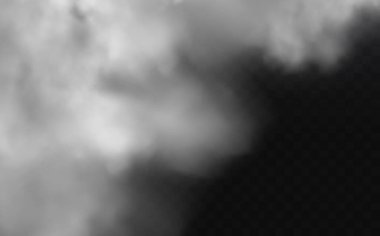 Bulutlu gökyüzü ya da şehrin üzerindeki sis. Vektör illüstrasyonu.Beyaz vektör bulanıklığı, sis ya da siyah kareli arkaplanda duman.