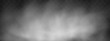 Bulutlu gökyüzü ya da şehrin üzerindeki sis. Vektör illüstrasyonu.Beyaz vektör bulanıklığı, sis ya da siyah kareli arkaplanda duman.