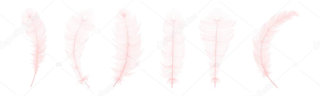Vector concept design,line art.Set of realistic vector goose or swan feathers of various shapes. Ecological feather filler for pillows, blankets or jackets.