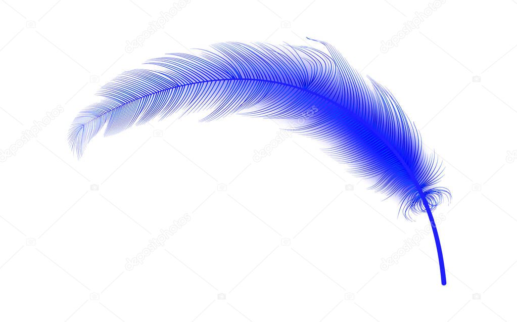 Vector concept design,line art.Set of realistic vector goose or swan feathers of various shapes. Ecological feather filler for pillows, blankets or jackets.