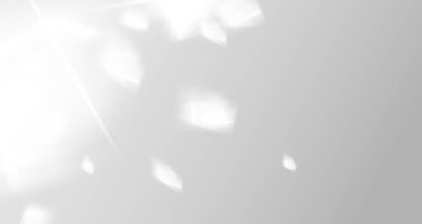 Doğal ışığın yumuşak örtüsü. Ürün sunumu için soyut bir arkaplan. Doğal ışık düzeni. Duvardaki güneş ışınlarından yansıyor. Odada yaprakların ve bitkilerin bulanık gölgeleri.