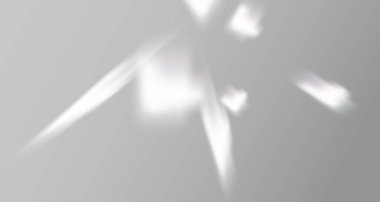 Ürün sunumu için soyut bir arkaplan. Doğal ışık düzeni. Duvardaki güneş ışınlarından yansıyor. Odadaki yapraklar ve bitkiler yüzünden bulanık gölgeler. Doğal ışığın yumuşak örtüsü.