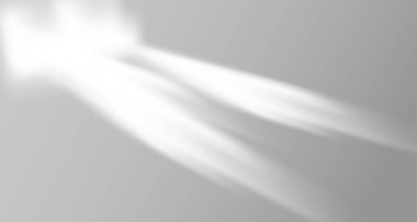 Ürün sunumu için soyut bir arkaplan. Doğal ışık düzeni. Duvardaki güneş ışınlarından yansıyor. Odadaki yapraklar ve bitkiler yüzünden bulanık gölgeler. Doğal ışığın yumuşak örtüsü.