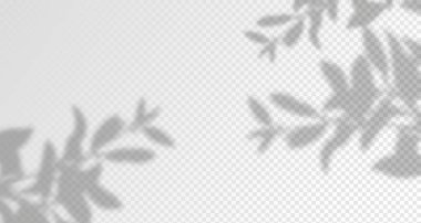 Ürün sunumu için soyut bir arkaplan. Doğal ışık düzeni. Duvardaki güneş ışınlarından yansıyor. Odadaki yapraklar ve bitkiler yüzünden bulanık gölgeler. Doğal ışığın yumuşak örtüsü. Ürün sunumu için soyut arkaplan. Doğal ışık yatıyordu