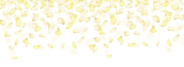 Şeffaf panoramik yatay arkaplan. Kehribar çiçek bahar şablonu.