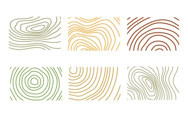 Ağaç kesimi deseni. Vektör topografik harita kavramı. 