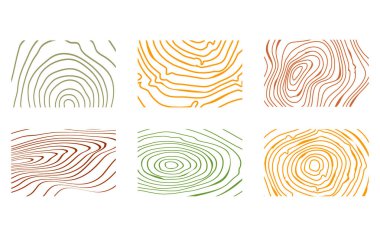 Ağaç kesimi deseni. Vektör topografik harita kavramı. 