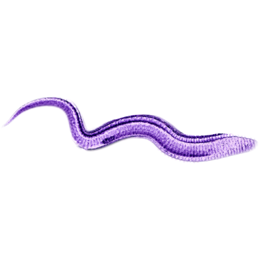 Renkli suluboya fırça darbeleri, parlak mürekkep lekeleri ve boya fırçası lekeleriyle soyut bir doku oluşturur..