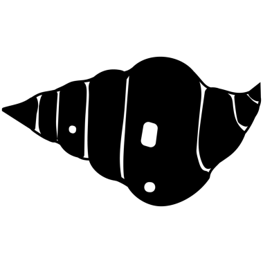 Düz stil deniz kabukları..