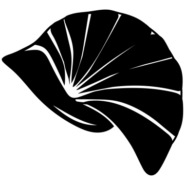 Düz stil deniz kabukları..