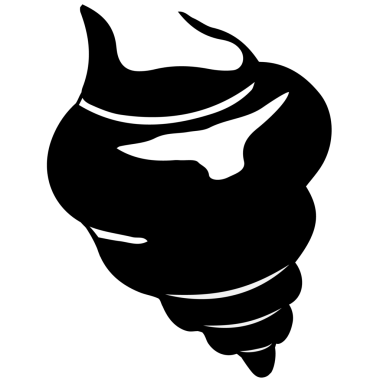 Farklı deniz kabukları..