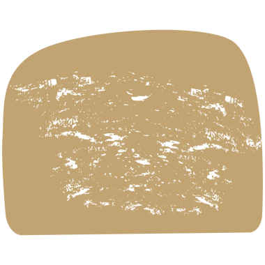 Organik çok renkli şekiller.