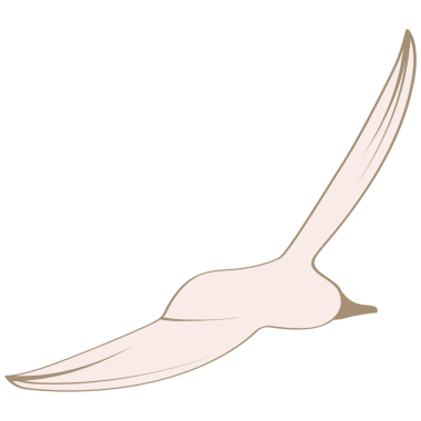 Çok renkli farklı grafik ögeleri.