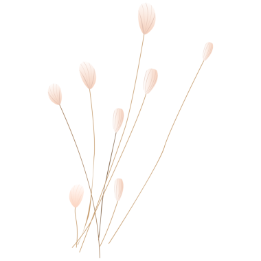 Çok renkli farklı grafik ögeleri.