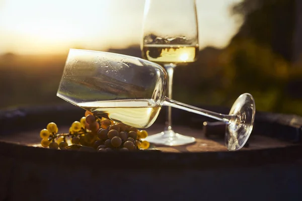 日没時に熟した黄色のブドウと木製の樽の上に白ワインの2つのグラス — ストック写真