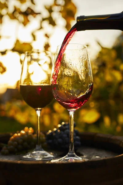 Giet Rode Wijn Glazen Staande Een Houten Vat Bij Zonsondergang — Stockfoto