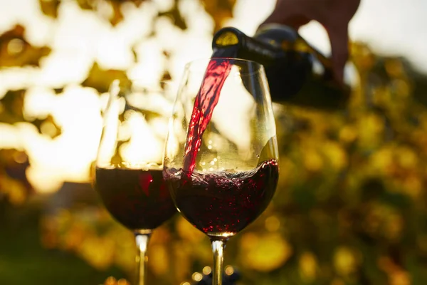 Versare Vino Rosso Nei Bicchieri Tramonto — Foto Stock