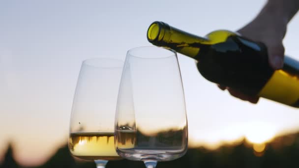 白ワインは ブドウ園の外の日没でメガネに注がれました — ストック動画