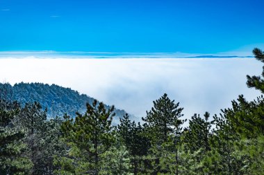 Aşağıdaki bulutlarla dağlarda gün doğumu
