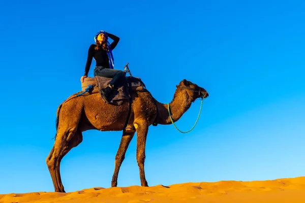 Beautiful Model Rides Camel Saharan Desert Morocco — Photo