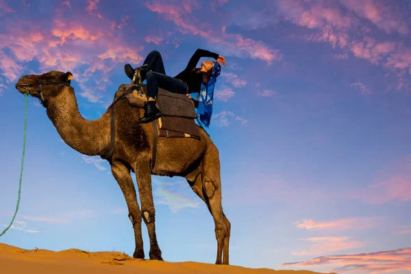 Чудовий Зразок Їде Верблюдом Через Пустелю Сахара Марокко — стокове фото