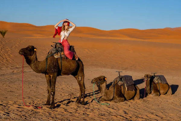 Krásný Model Projíždí Velbloudem Saharskou Pouští Maroku — Stock fotografie
