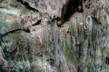 Cuzama, Yucatan, Meksika 'daki güzel sularda.