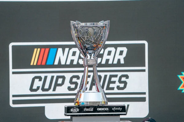Joey Logano Celebrates His Win Nascar Cup Series Championship Avondale — Stock Photo, Image